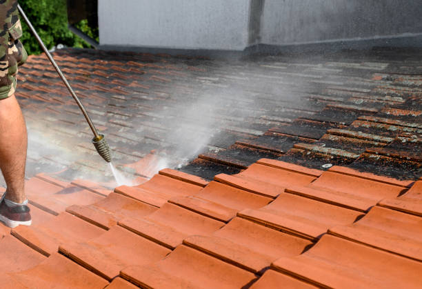 Best Pressure Washing Near Me  in Manassas, VA